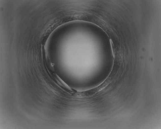 X0000074330750200608251325