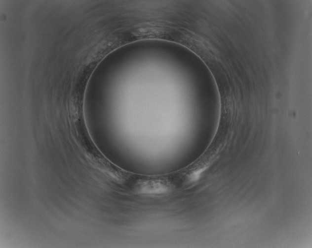 X0000074330751200608251325