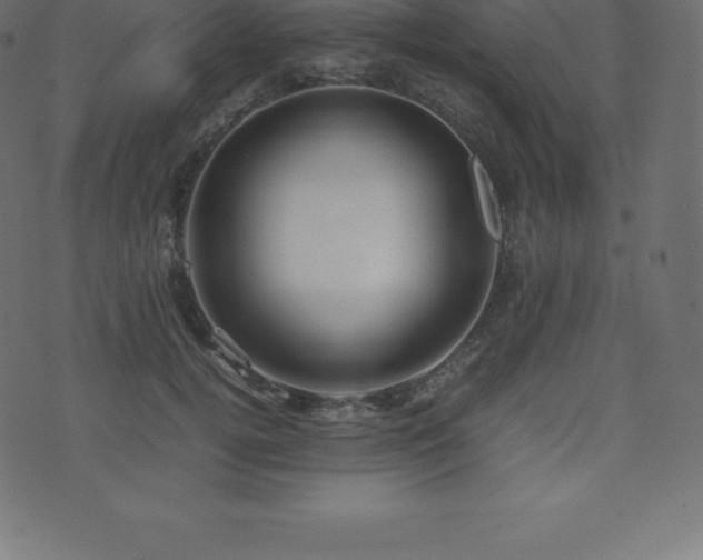 X0000074330752200608251325