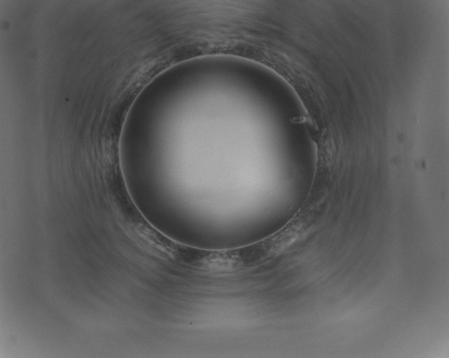 X0000074330756200608251325