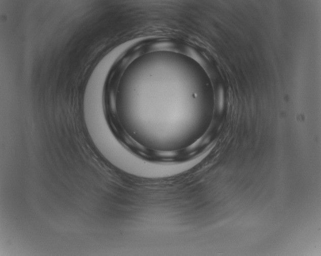 X0000074330762200608251326