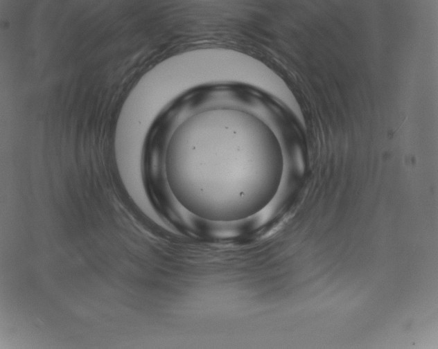 X0000074330764200608251326