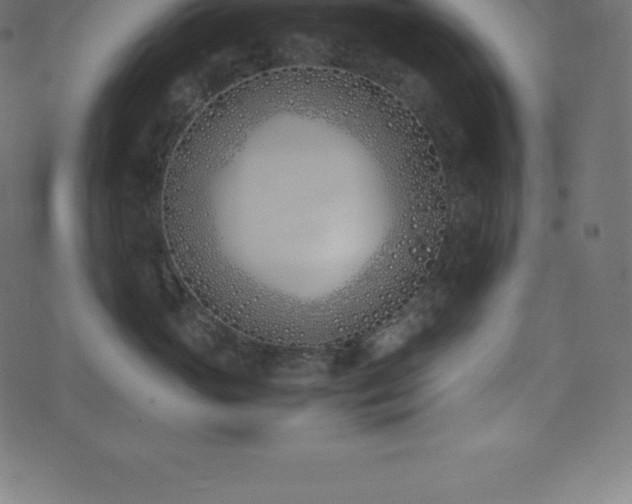 X0000074330765200608251326