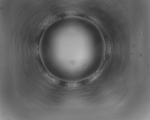 X0000074330766200608251326