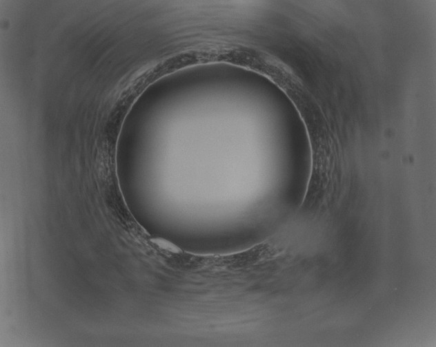 X0000074330773200608251325