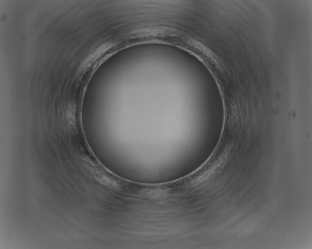 X0000074330778200608251325