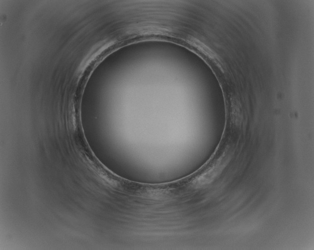 X0000074330782200608251325