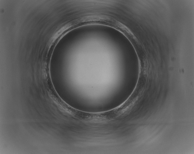 X0000074330786200608251325