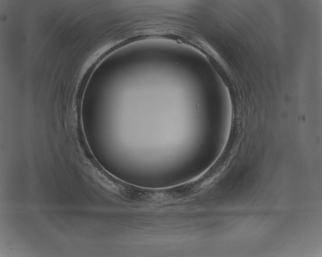 X0000074330787200608251325