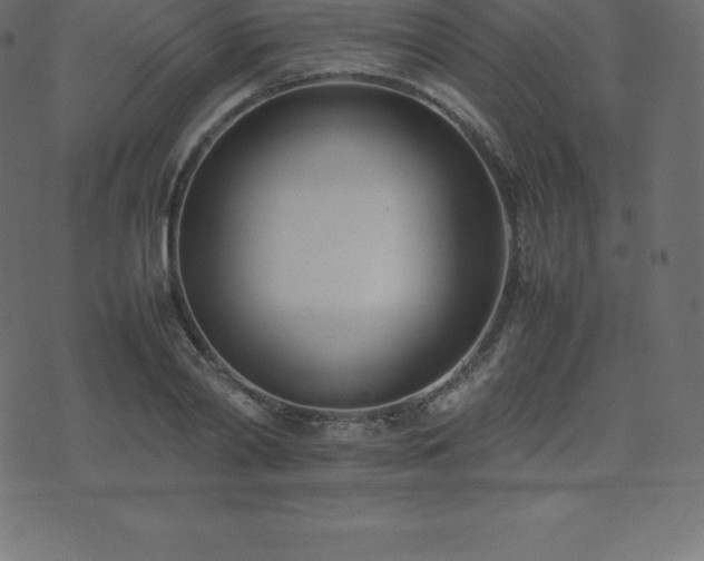 X0000074330790200608251324