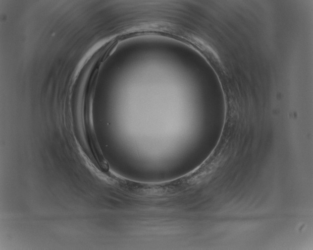X0000074330792200608251324