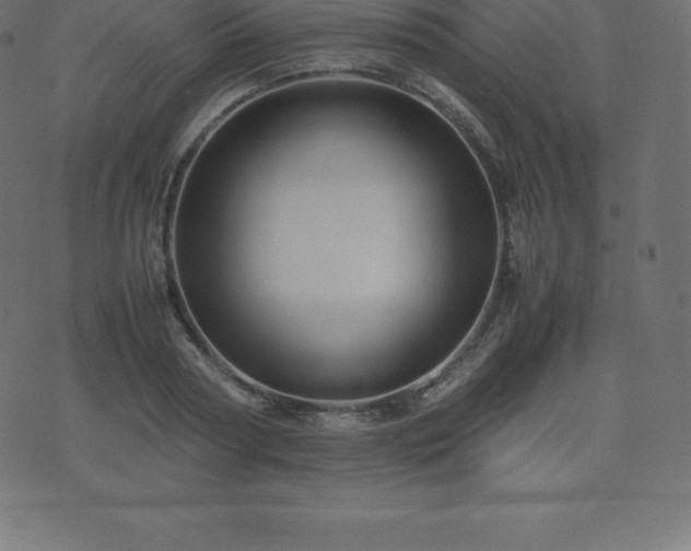 X0000074330794200608251324