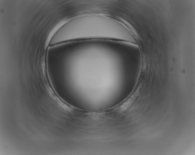 X0000074330812200608251324