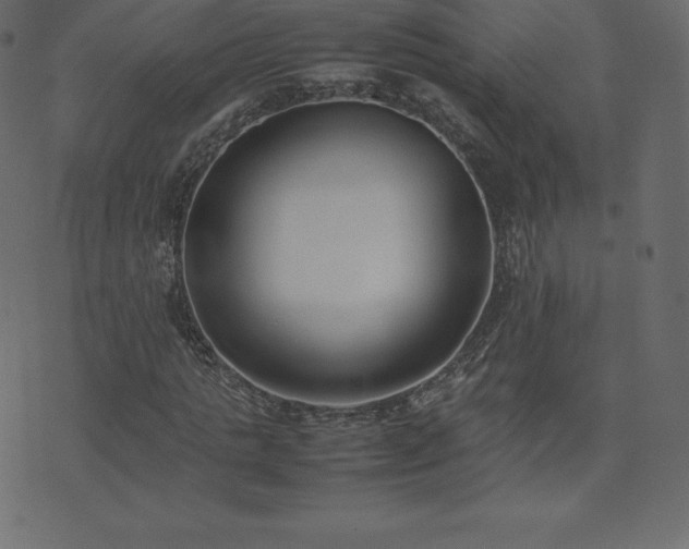 X0000074330821200608251323