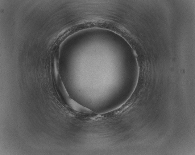 X0000074330822200608251323