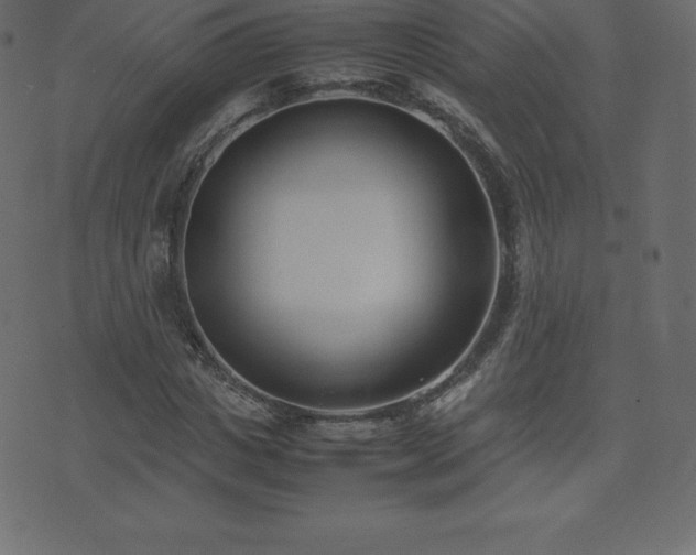 X0000074330825200608251323