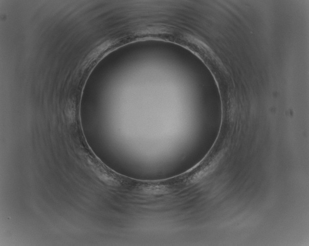 X0000074330833200608251324