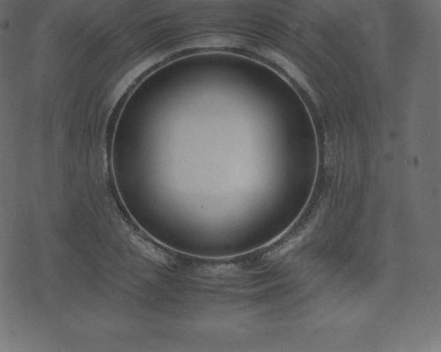 X0000074330837200608251324