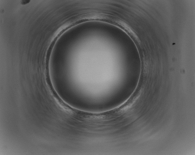 X0000074330845200608251324