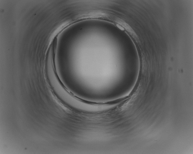 X0000074330850200608251324