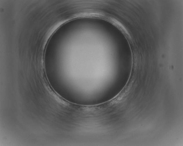 X0000074330852200608251324