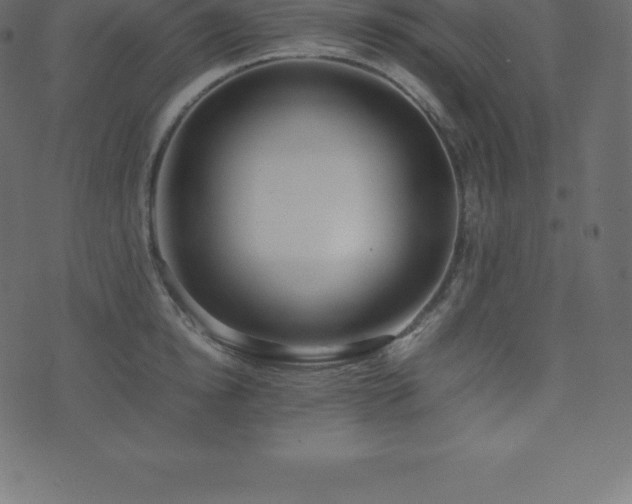 X0000074330854200608251324