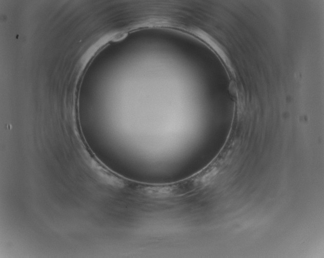 X0000074330861200608251324