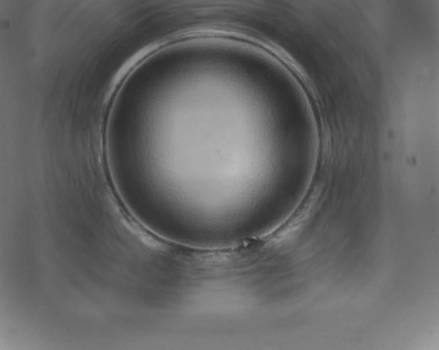 X0000074330862200608251324