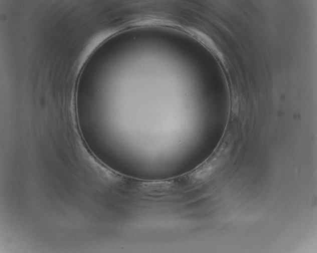 X0000074330863200608251324