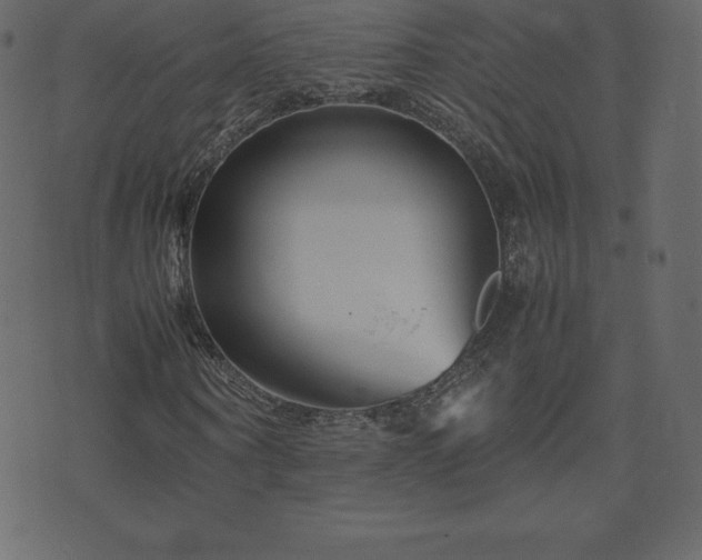 X0000074330866200608251323