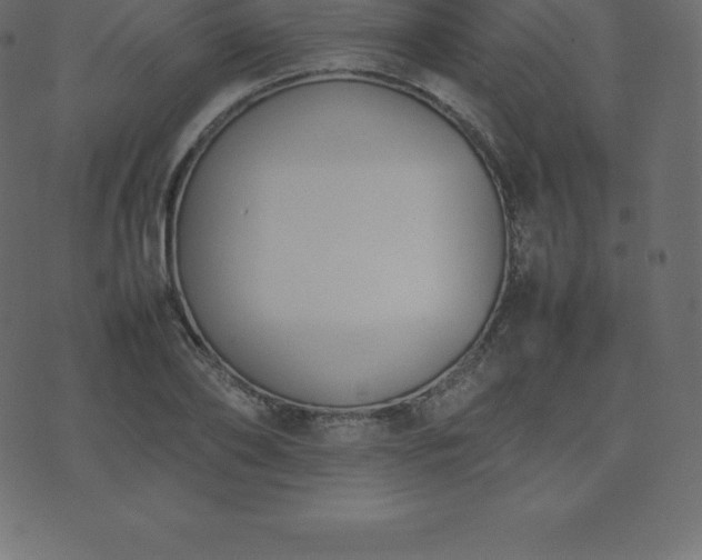 X0000074330886200608251323