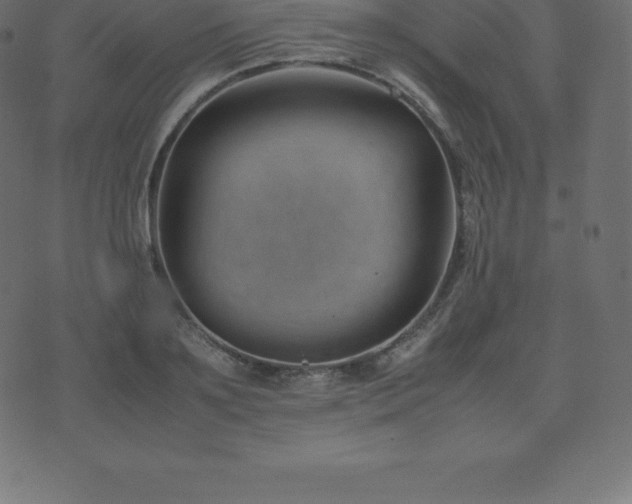 X0000074330891200608251323
