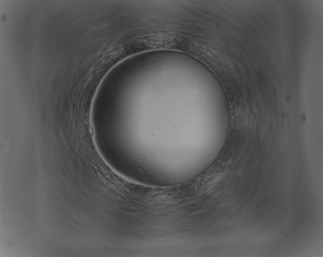 X0000074330913200608251322