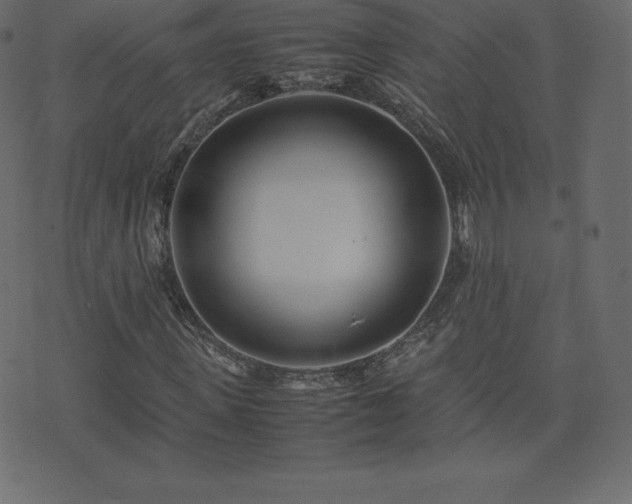 X0000074330915200608251322