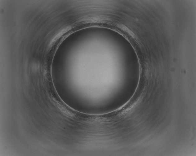 X0000074330922200608251322