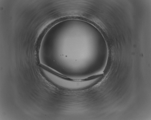 X0000074330926200608251322