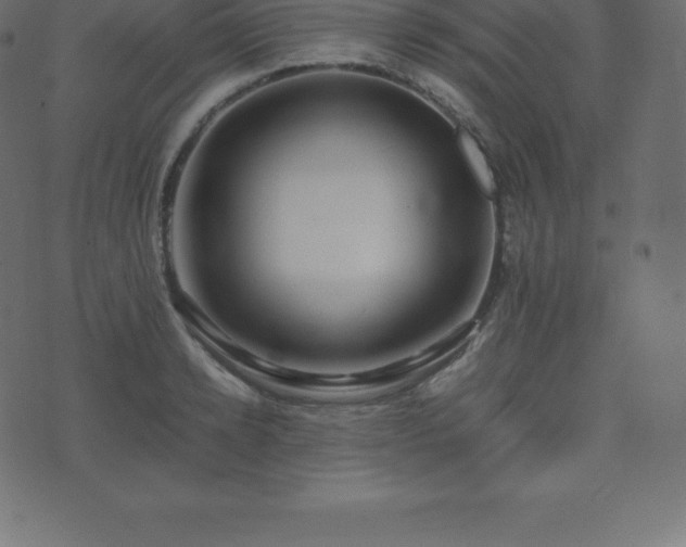 X0000074330942200608251322