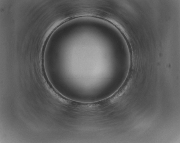 X0000074330949200608251322