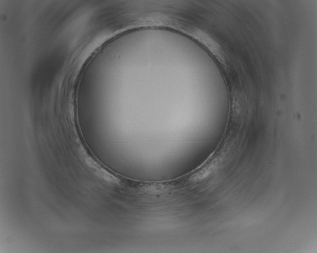 X0000074330950200608251322