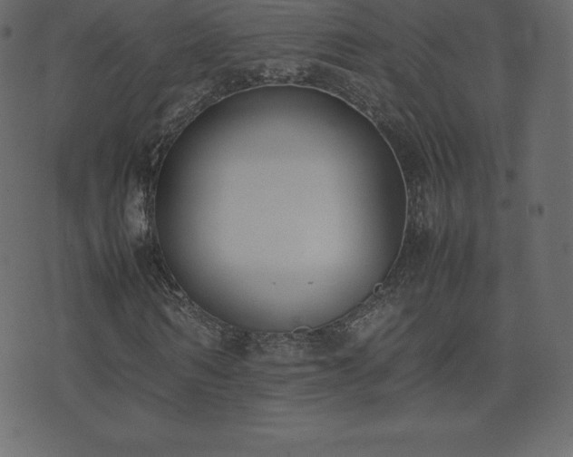 X0000074330962200608251322