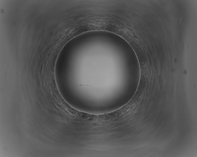 X0000074331009200608251320
