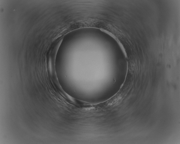 X0000074331010200608251320
