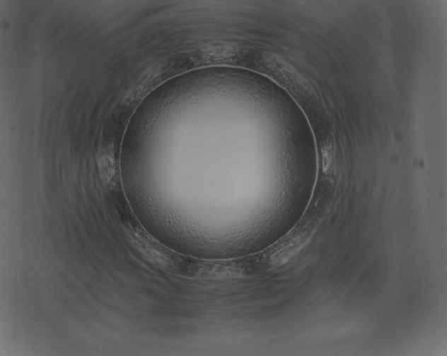X0000074331011200608251320