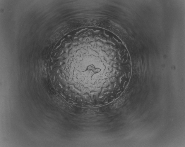 X0000074331013200608251320