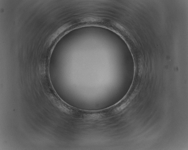 X0000074331017200608251320