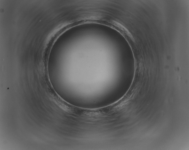 X0000074331027200608251320