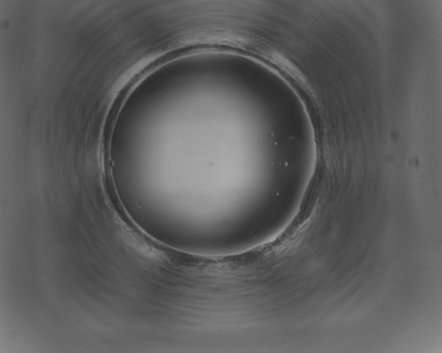 X0000074331028200608251320