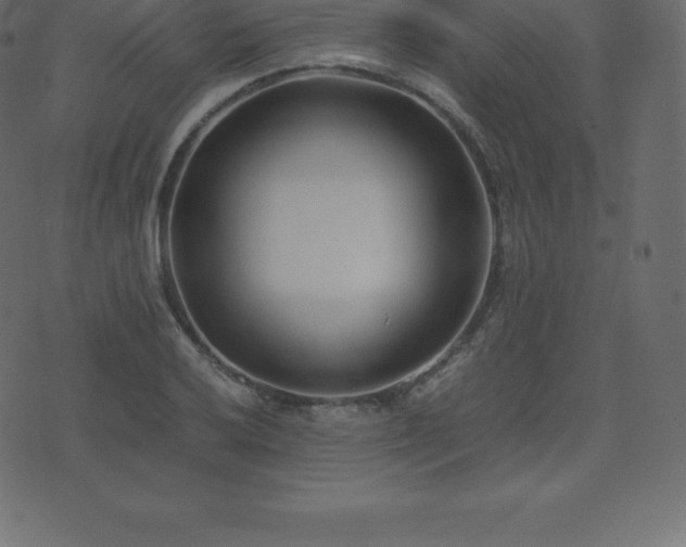 X0000074331032200608251320