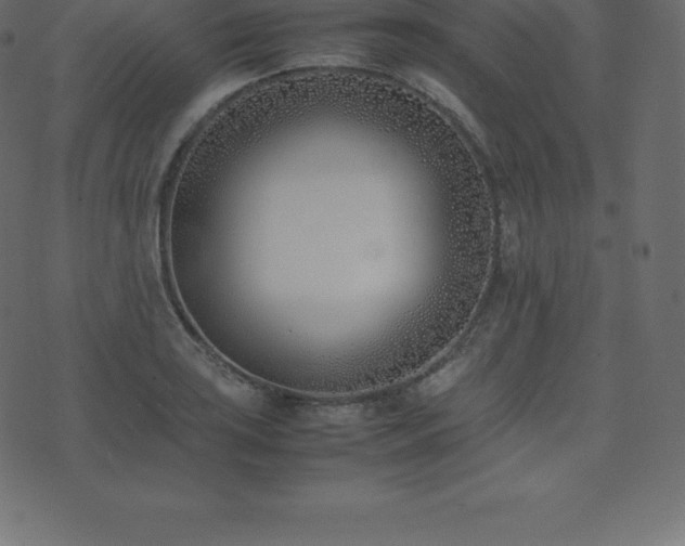 X0000074331035200608251321