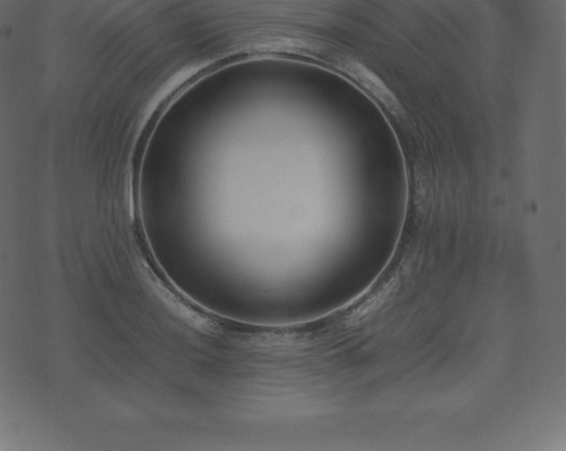X0000074331036200608251321